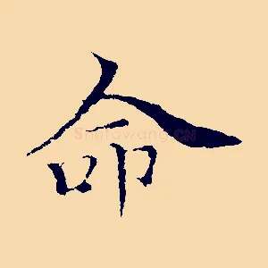 命