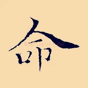 命