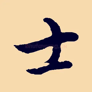 士