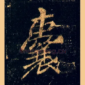 囊