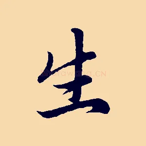 生