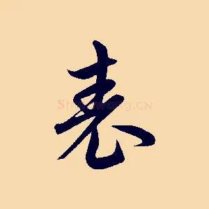 表