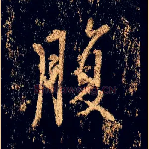 腹