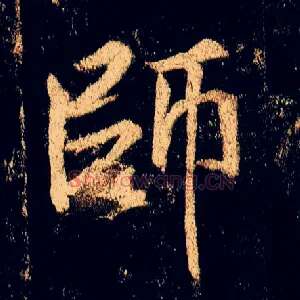 师