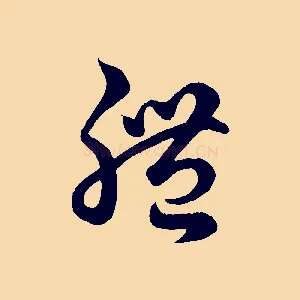 體
