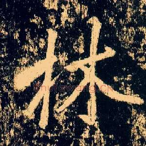 林