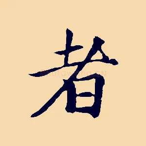 者