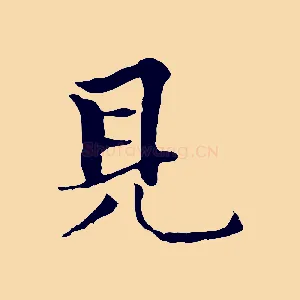 見