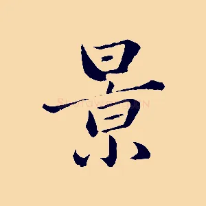 景