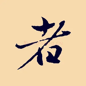 者
