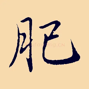 肥