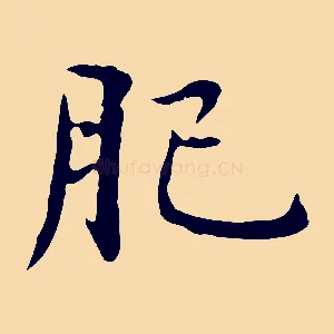 肥