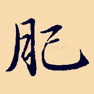 肥