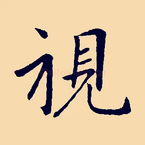 視