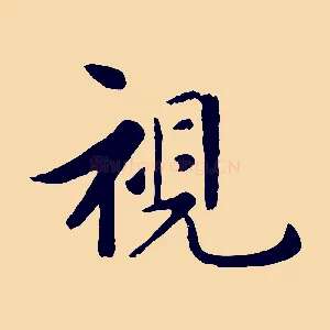 視