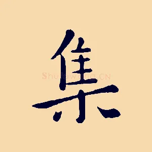 集