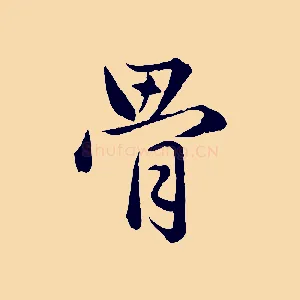 骨