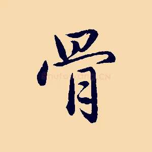 骨