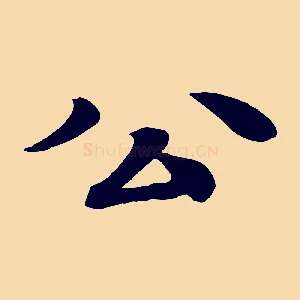 公