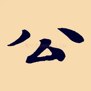 公