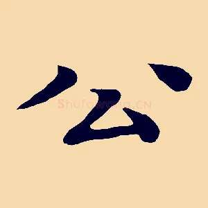 公