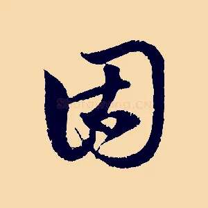 固
