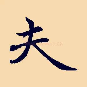 夫