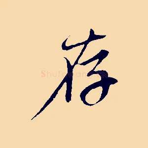 存