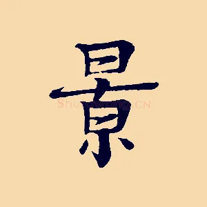 景