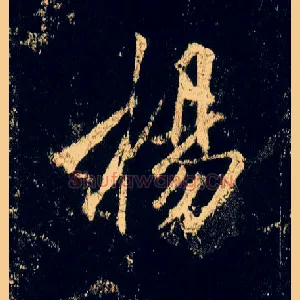 杨