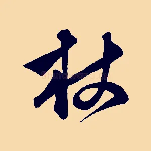 杖
