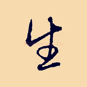 生
