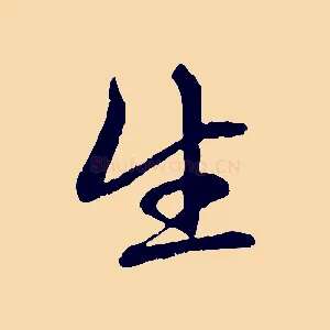 生