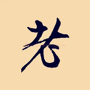 者