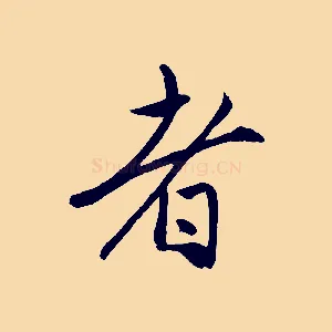 者