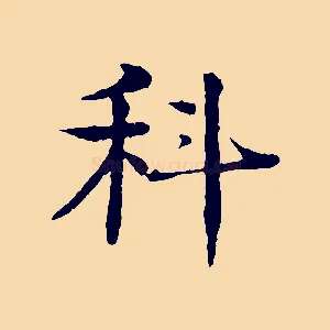 科