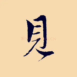 見