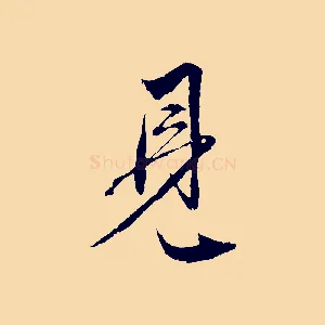 見