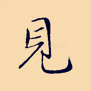 見