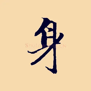身