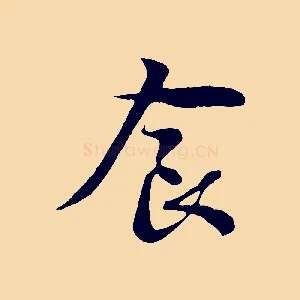 食