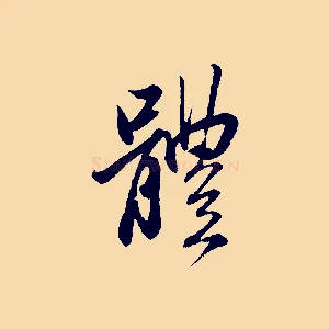 體
