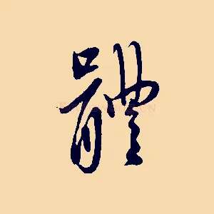 體
