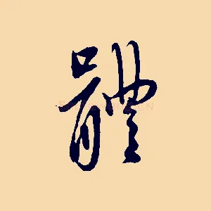 體