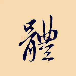 體