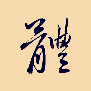 體
