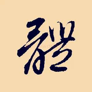 體