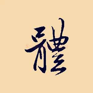 體