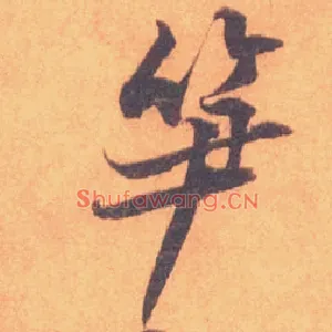 笋