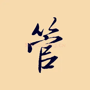 管